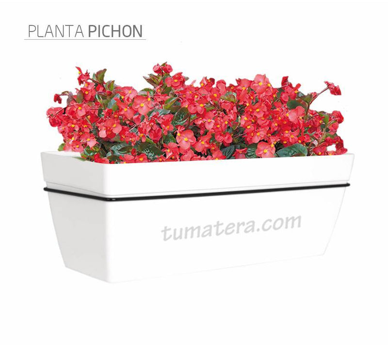 COMBO KIT CAPRI BALCÓN 50CM CON FLORES - Tumatera.co