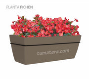 COMBO KIT CAPRI BALCÓN 50CM CON FLORES - Tumatera.co