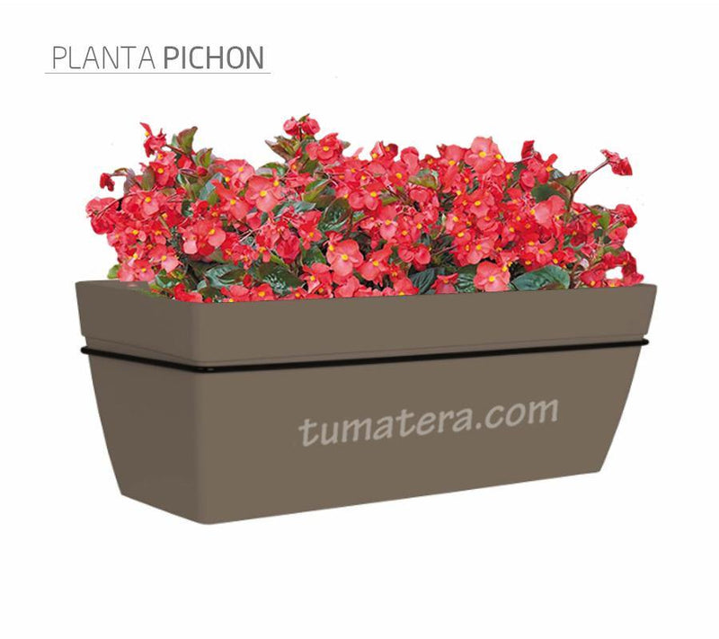COMBO KIT CAPRI BALCÓN 50CM CON FLORES - Tumatera.co