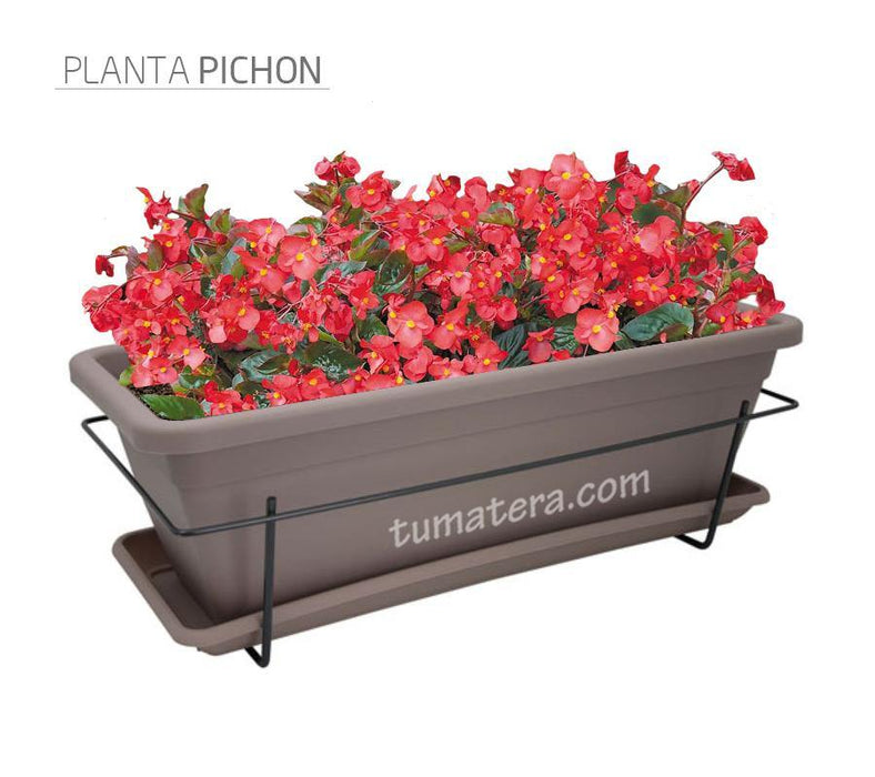 COMBO VENEZA BALCÓN 50 CM CON FLORES - Tumatera.co