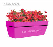 COMBO KIT CAPRI BALCÓN 50CM CON FLORES - Tumatera.co