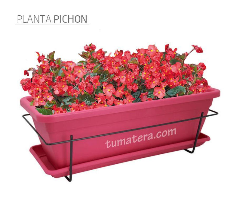 COMBO VENEZA BALCÓN 50 CM CON FLORES - Tumatera.co