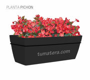 COMBO KIT CAPRI BALCÓN 50CM CON FLORES - Tumatera.co