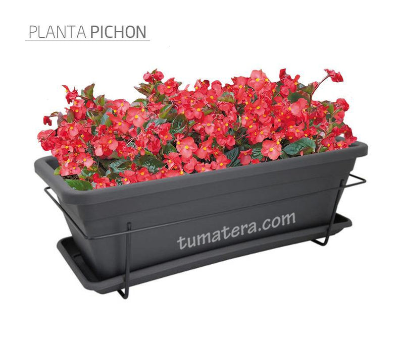 COMBO VENEZA BALCÓN 50 CM CON FLORES - Tumatera.co