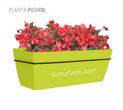 COMBO KIT CAPRI BALCÓN 50CM CON FLORES - Tumatera.co
