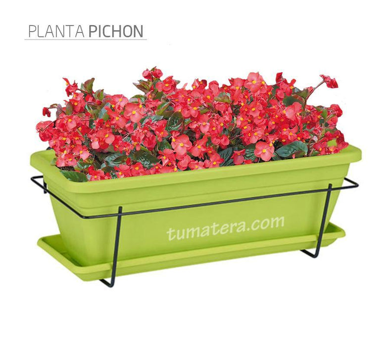 COMBO VENEZA BALCÓN 50 CM CON FLORES - Tumatera.co