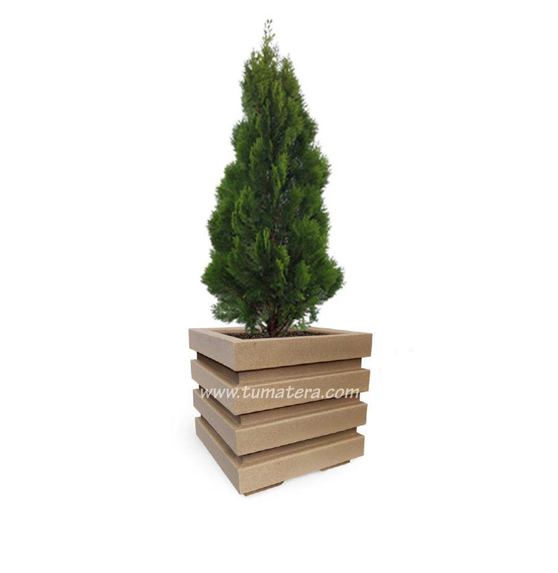 COMBO CUBO 48 CM CON PINO - Tumatera.co