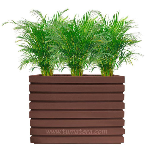 COMBO JARDINERA 100 X 60 CM CON PALMA ARECA - Tumatera.co
