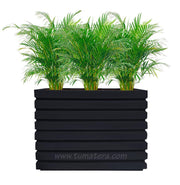 COMBO JARDINERA 100 X 60 CM CON PALMA ARECA - Tumatera.co