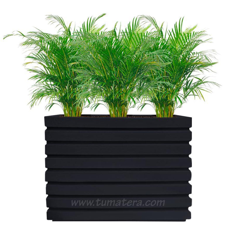 COMBO JARDINERA 100 X 60 CM CON PALMA ARECA - Tumatera.co