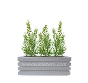 COMBO JARDINERA 90 CM CON EUGENIAS - Tumatera.co