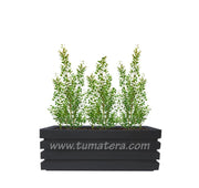 COMBO JARDINERA 90 CM CON EUGENIAS - Tumatera.co