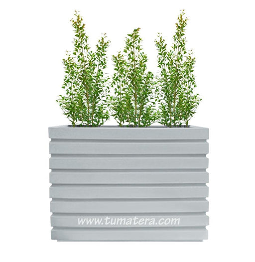 COMBO JARDINERA 100 X 60 CM CON EUGENIAS - Tumatera.co