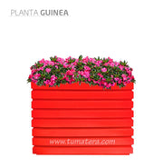 COMBO JARDINERA 100 X 60 CM CON FLORES - Tumatera.co