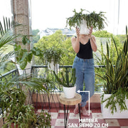 MATERA SAN REMO 20 CM - Tumatera.co