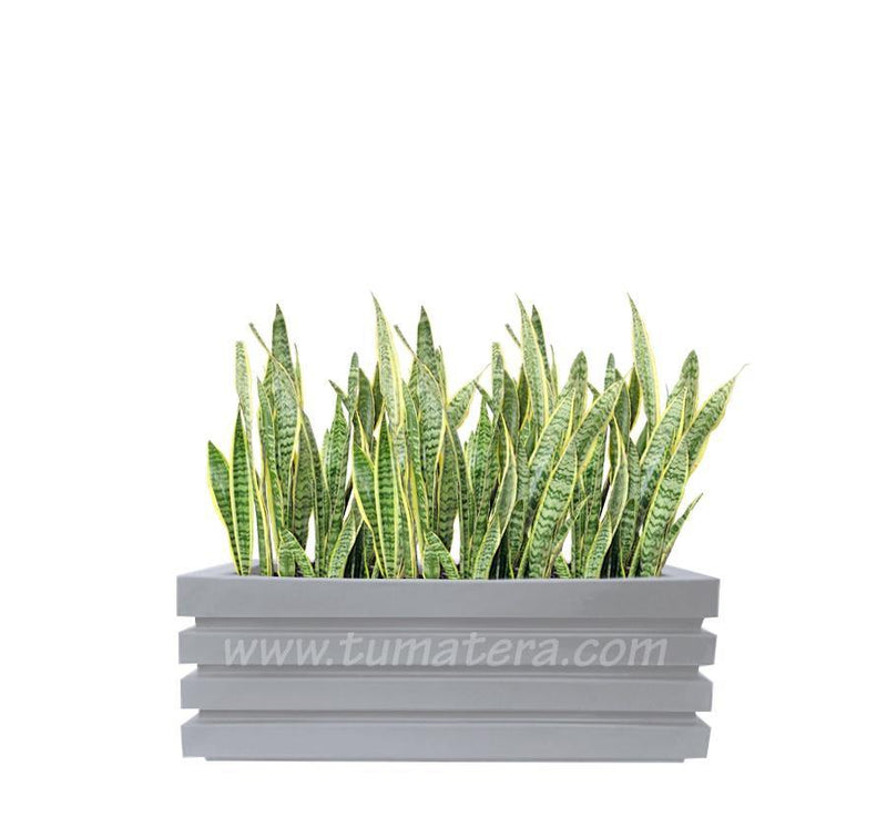 COMBO JARDINERA 90 CM CON SANSEVIERA - Tumatera.co