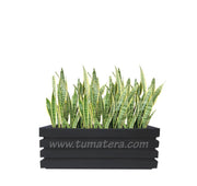 COMBO JARDINERA 90 CM CON SANSEVIERA - Tumatera.co