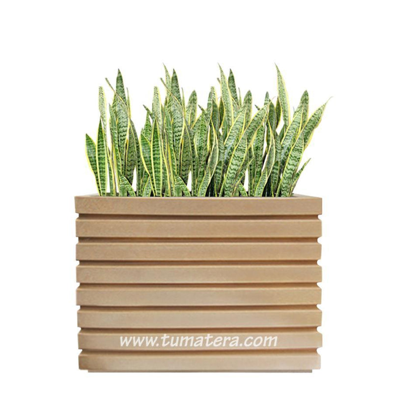 COMBO JARDINERA 100 X 60 CM CON SANSEVIERIA - Tumatera.co