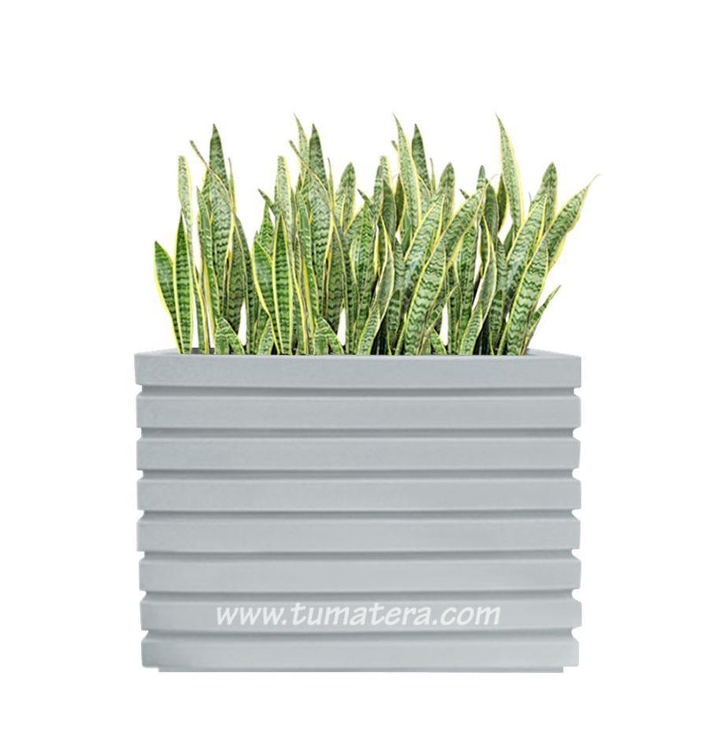 COMBO JARDINERA 100 X 60 CM CON SANSEVIERIA - Tumatera.co