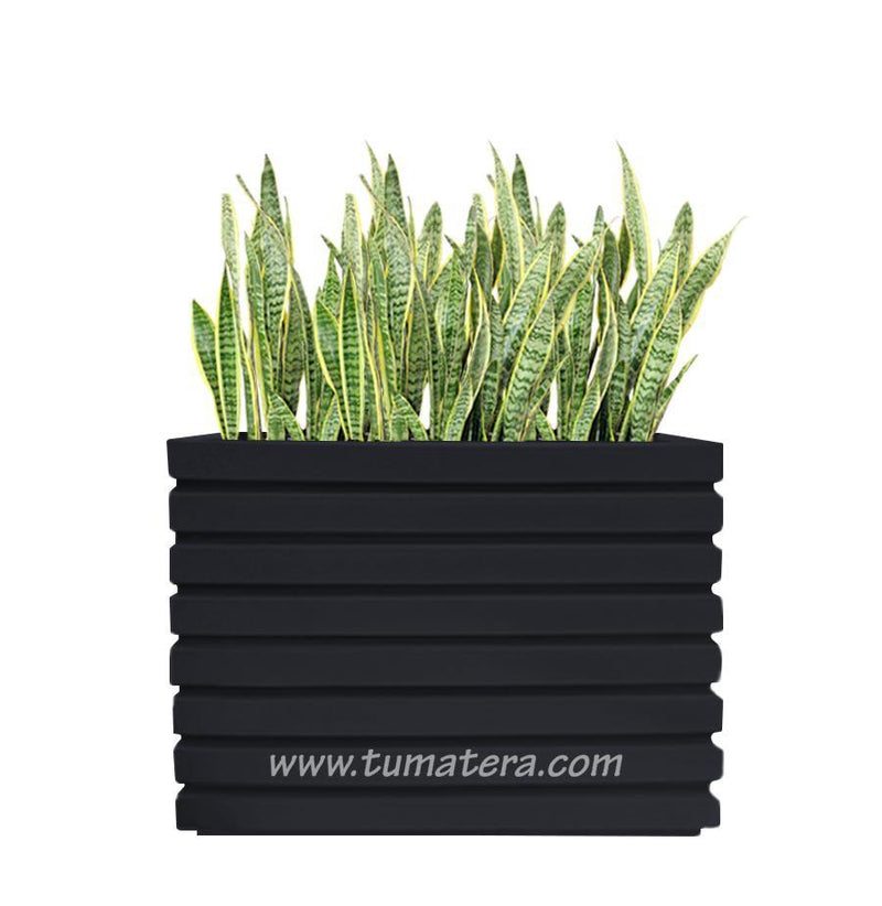 COMBO JARDINERA 100 X 60 CM CON SANSEVIERIA - Tumatera.co