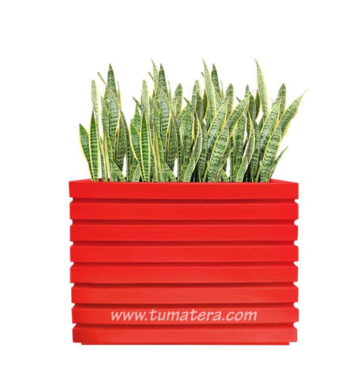 COMBO JARDINERA 100 X 60 CM CON SANSEVIERIA - Tumatera.co