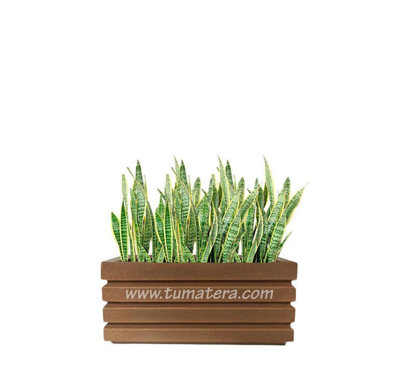 COMBO JARDINERA 70 CM CON SANSEVIERA - Tumatera.co