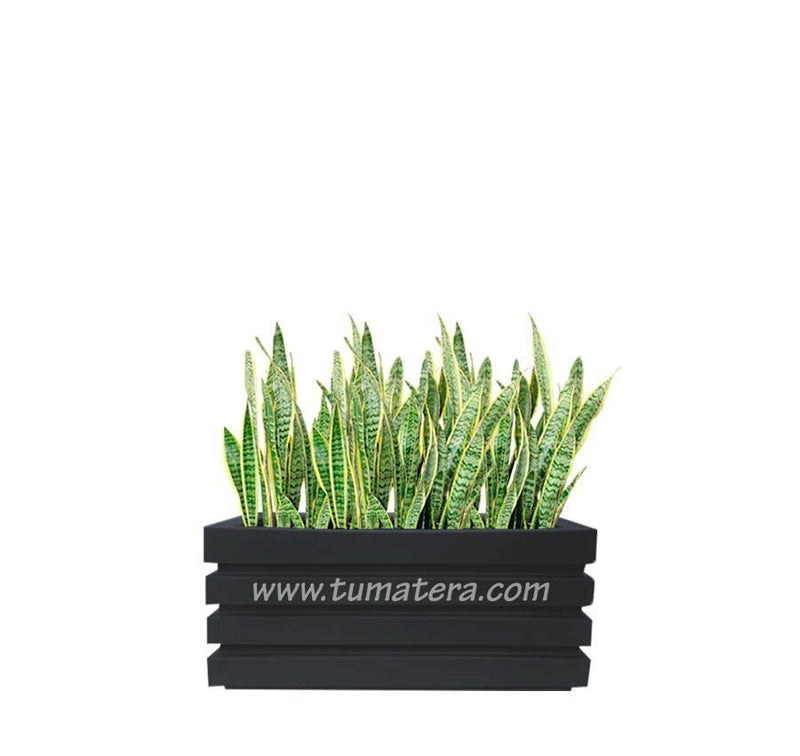 COMBO JARDINERA 70 CM CON SANSEVIERA - Tumatera.co