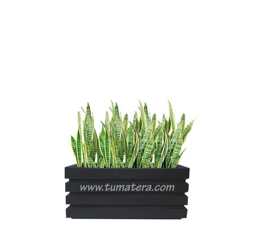 COMBO JARDINERA 70 CM CON SANSEVIERA - Tumatera.co