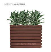 COMBO JARDINERA 100 X 60 CM CON WARNECKI - Tumatera.co