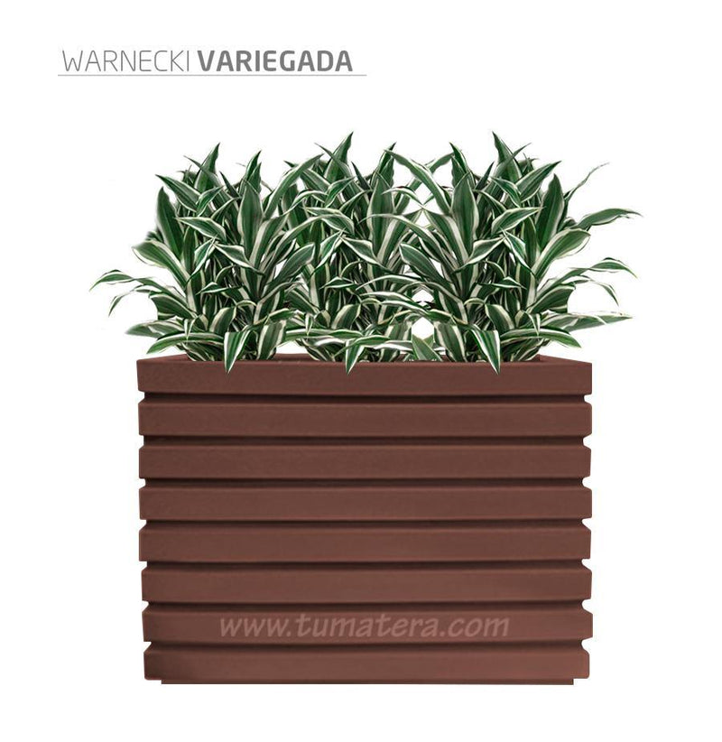COMBO JARDINERA 100 X 60 CM CON WARNECKI - Tumatera.co