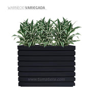 COMBO JARDINERA 100 X 60 CM CON WARNECKI - Tumatera.co