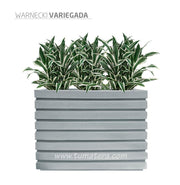 COMBO JARDINERA 100 X 60 CM CON WARNECKI - Tumatera.co