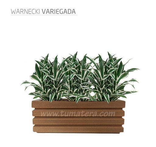 COMBO JARDINERA 90 CM CON WARNECKI - Tumatera.co