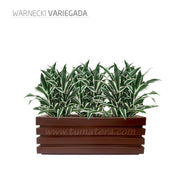 COMBO JARDINERA 90 CM CON WARNECKI - Tumatera.co