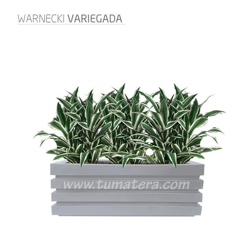 COMBO JARDINERA 90 CM CON WARNECKI - Tumatera.co