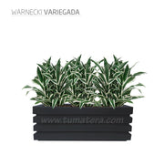 COMBO JARDINERA 90 CM CON WARNECKI - Tumatera.co